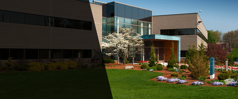 Land O Lakes Landscapers