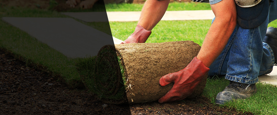 Land O Lakes Landscapers